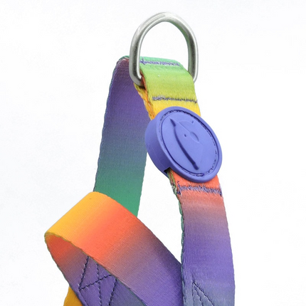 Morso Pett norv SPRING BLOSSOM Harness