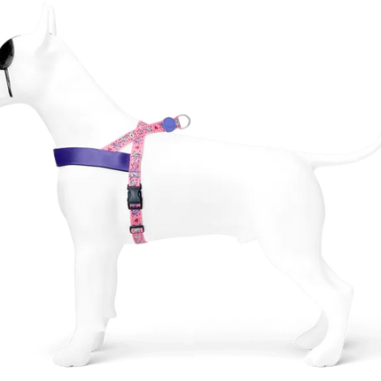Morso Pett norv SWEET TWEET Harness