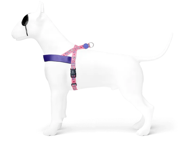 Morso Pett norv SWEET TWEET Harness