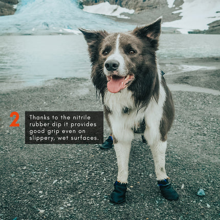 Non-stop dogwear Protector Bootie