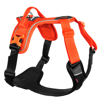 Non-stop dogwear Ramble Harness