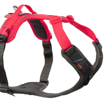 Non-stop dogwear Ramble Harness