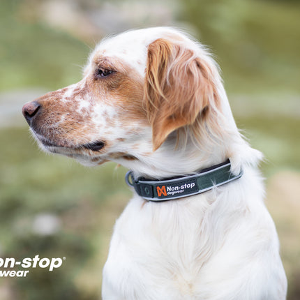 Non-stop dogwear Roam Collar