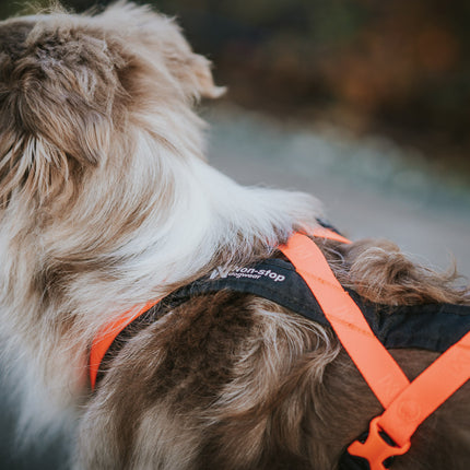 Non-stop dogwear Rush Harness