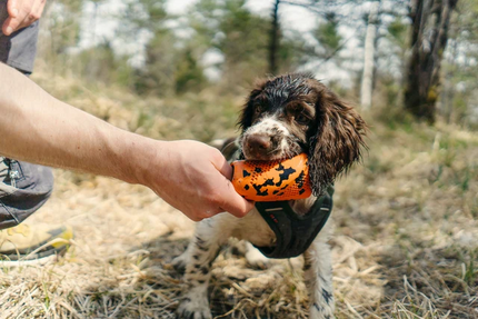 Non-stop dogwear Dog throw toy