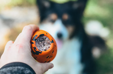 Non-stop dogwear Dog throw toy