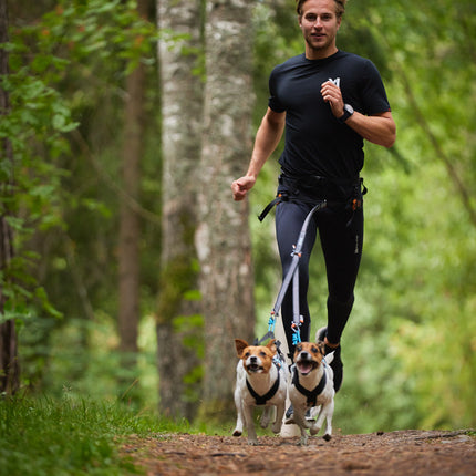 Non-stop dogwear Touring Double (Split leash)