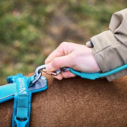 Non-stop dogwear Trekking Rope Leash