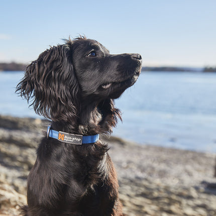 Non-stop dogwear Tumble Collar
