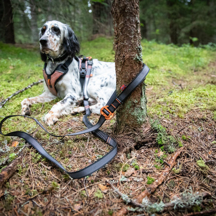 Non-stop dogwear Touring Bungee Adjustable (Multi-use leash)