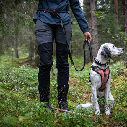 Non-stop dogwear Touring Bungee Adjustable (Multi-use leash)